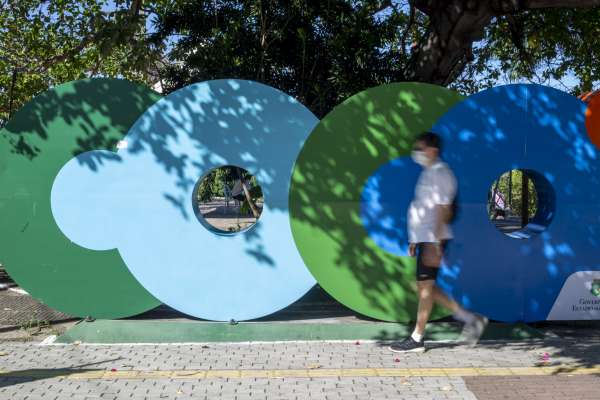 Domingo (28), no Cocó, vai ter oficina sobre o manejo e conservação de abelhas sem ferrão