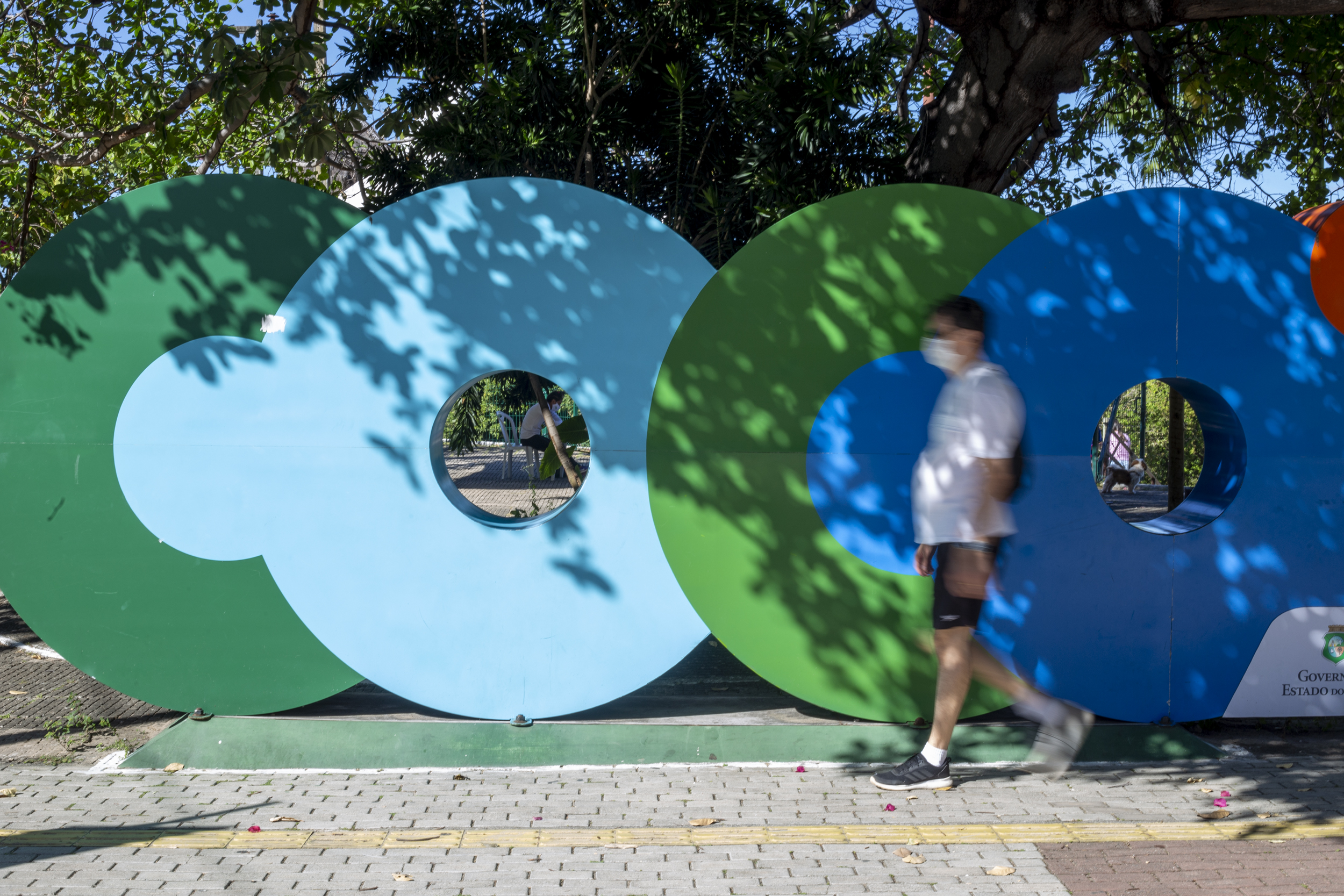 Domingo (28), no Cocó, vai ter oficina sobre o manejo e conservação de abelhas sem ferrão