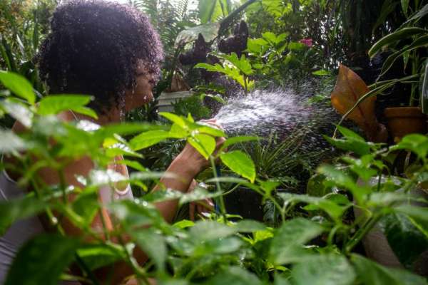 Dragão do Mar está com inscrições abertas para o programa formativo em processos criativos