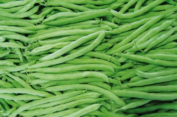 Preço da vagem cai 40% na Ceasa em Maracanaú