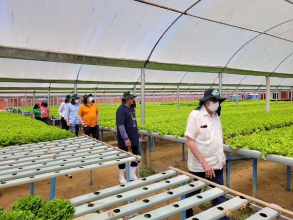 Secretários da Sedet visitam cultivos protegidos na Região da Ibiapaba