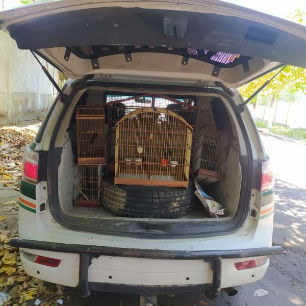 SSPDS realiza Operação Domus no Conjunto Maria Tomásia no Jangurussu