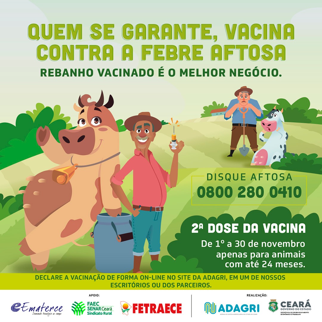 Prazo para vacinação do rebanho contra Febre Aftosa se encerra dia 30 de novembro