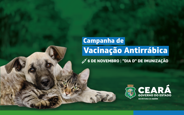 Mais de 2,3 milhões de cães e gatos devem ser vacinados contra raiva no Ceará