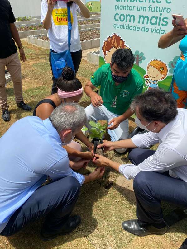 Com 4.253 mudas, Sema pinta de verde o Programa Mais Infância