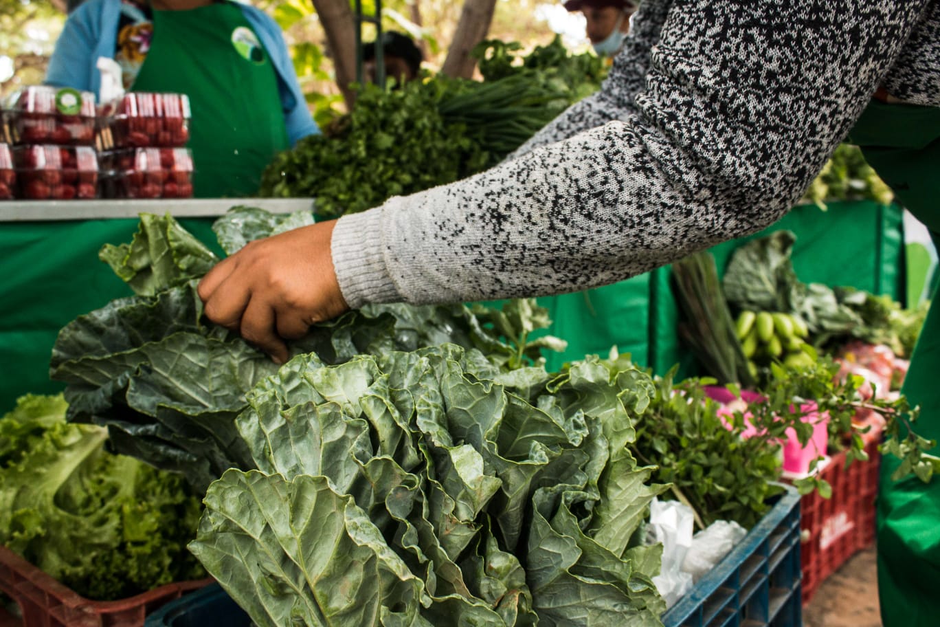 Área Adahil Barreto, do Parque do Cocó, recebe Feira Agroecológica no sábado (6)