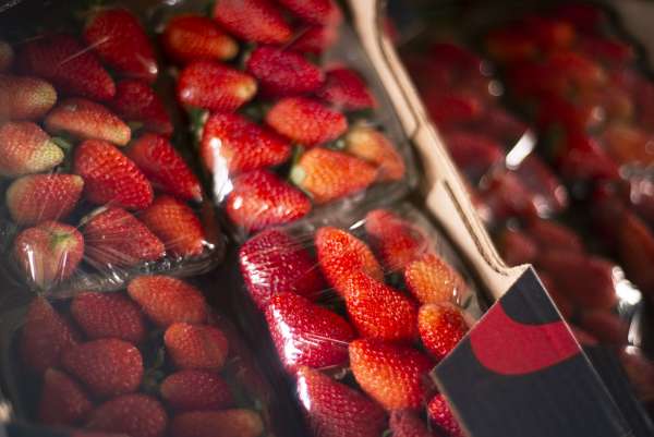 Preço do morango tem queda de 25,9% na Ceasa Cariri
