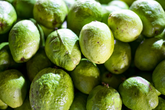 Goiaba a R$ 3,00/kg na Ceasa em Maracanaú