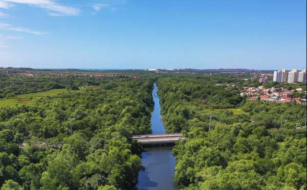 Ceará reduz emissão de gases do efeito estufa