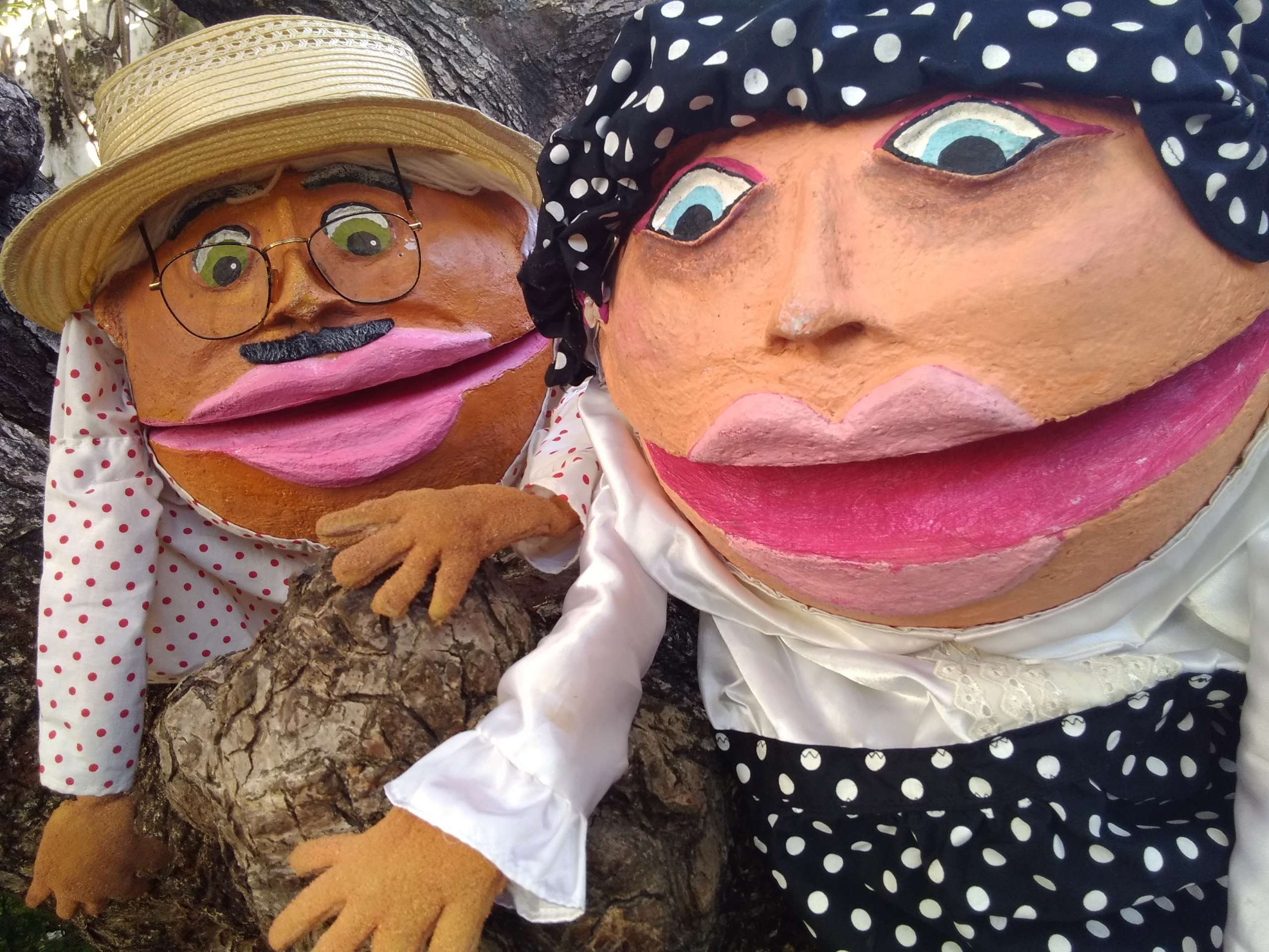 Confira a programação do Dragão do Mar até 5 de dezembro