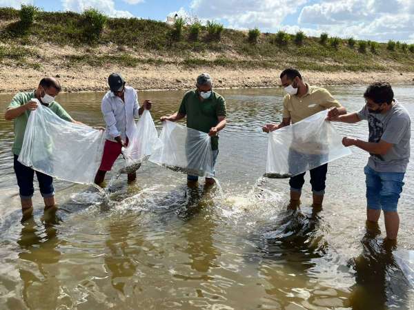 Paracuru, Miraíma e Pentecostes recebem projeto de peixamento da SDA