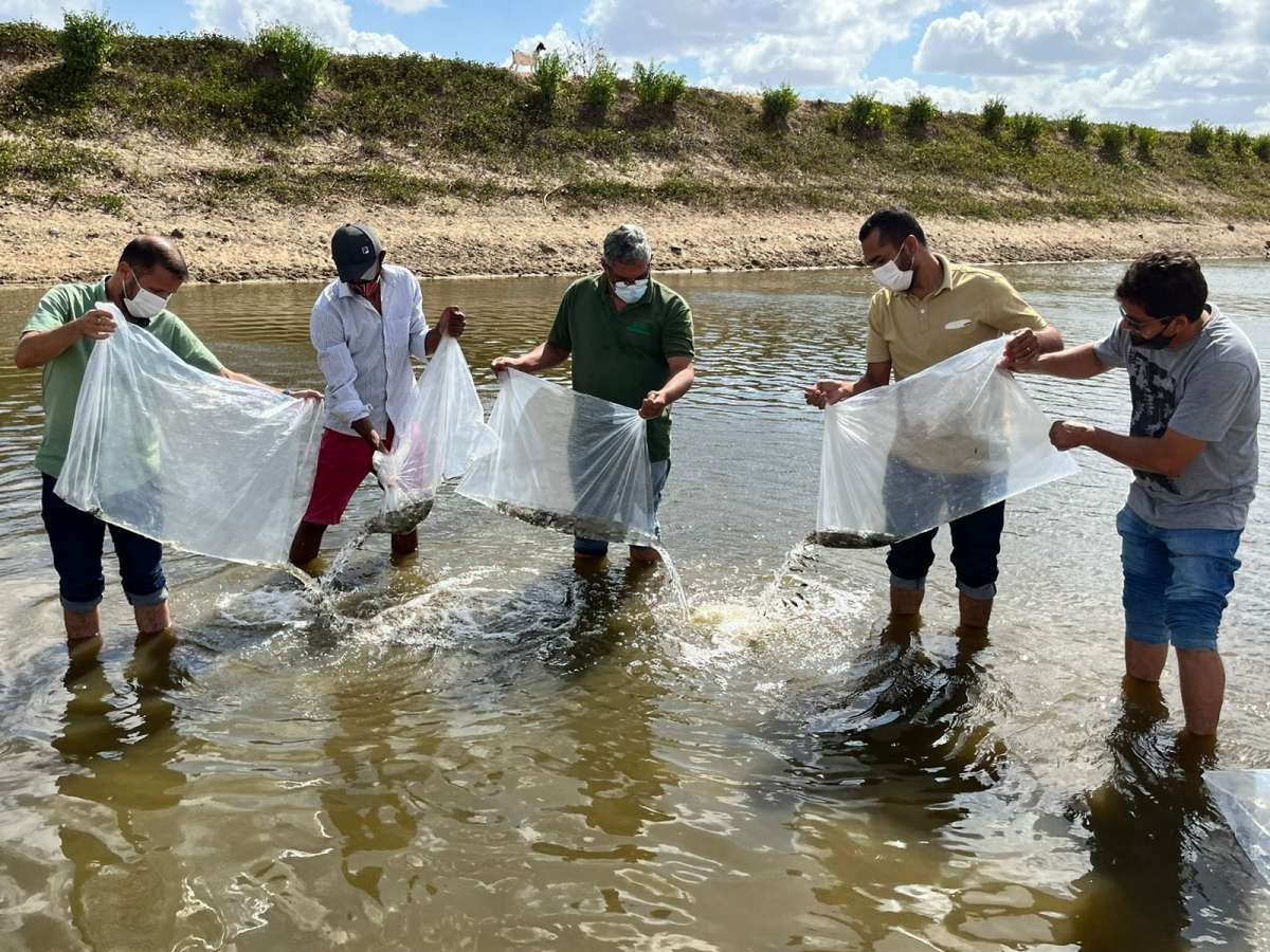 Paracuru, Miraíma e Pentecostes recebem projeto de peixamento da SDA