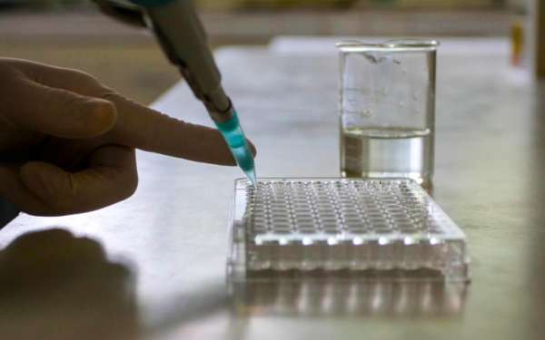 Esgotos de Fortaleza voltam a registrar alta concentração de coronavírus em dezembro, aponta rede de monitoramento