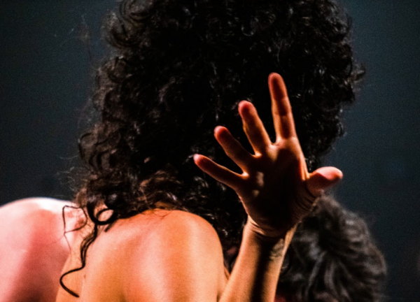 Theatro José de Alencar: estreia do projeto “Cavalgada Selvagem” acontece pelo canal do YouTube do TJA