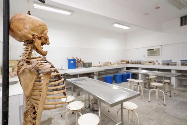 Uece abre inscrições para Especialização em Enfermagem Cardiovascular e Hemodinâmica