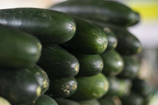 Preços da vagem e do pepino caem16,67% na Ceasa Tianguá