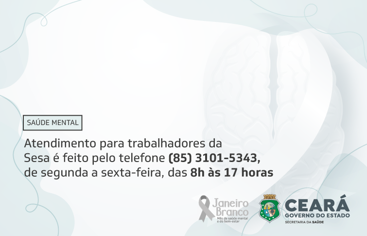 Profissionais da Rede Sesa têm acesso à assistência remota voltada para transtornos mentais relacionados ao trabalho