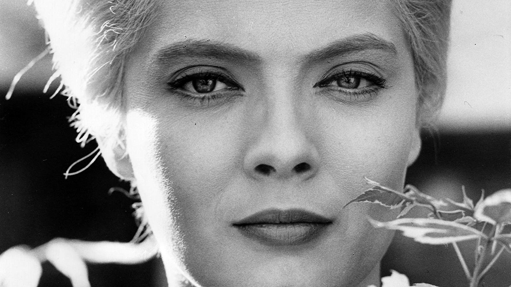 Mostra Retroexpectativa do Cinema do Dragão é prorrogada até 9 de fevereiro