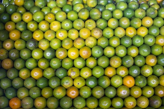 Em safra, laranja pera é vendida a R$ 2,20/kg na Ceasa em Maracanaú