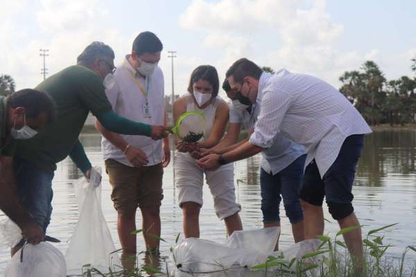 Com peixamento, SDA repovoa açudes de seis cidades com 197 mil alevinos