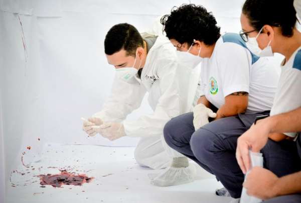 Peritos criminais em formação são treinados para analisar mancha de sangue em local de crime