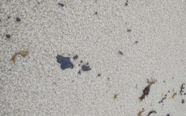 Com surgimento de manchas de óleo no litoral cearense, Sesa orienta equipes municipais de Vigilância Ambiental sobre ações preventivas