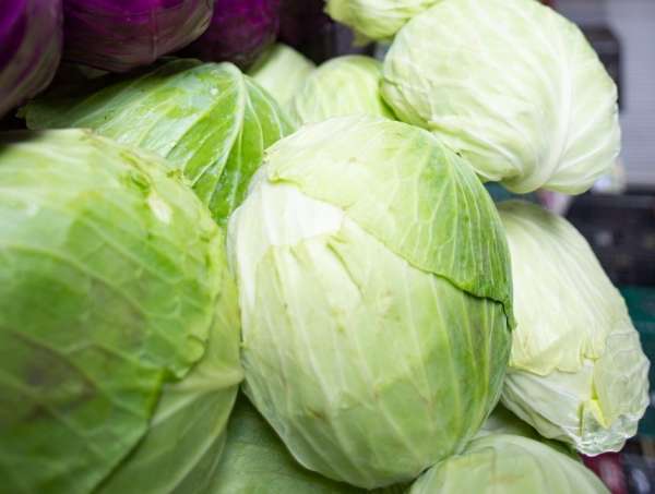 Preço do repolho tem queda de 21,5% na Ceasa Tianguá