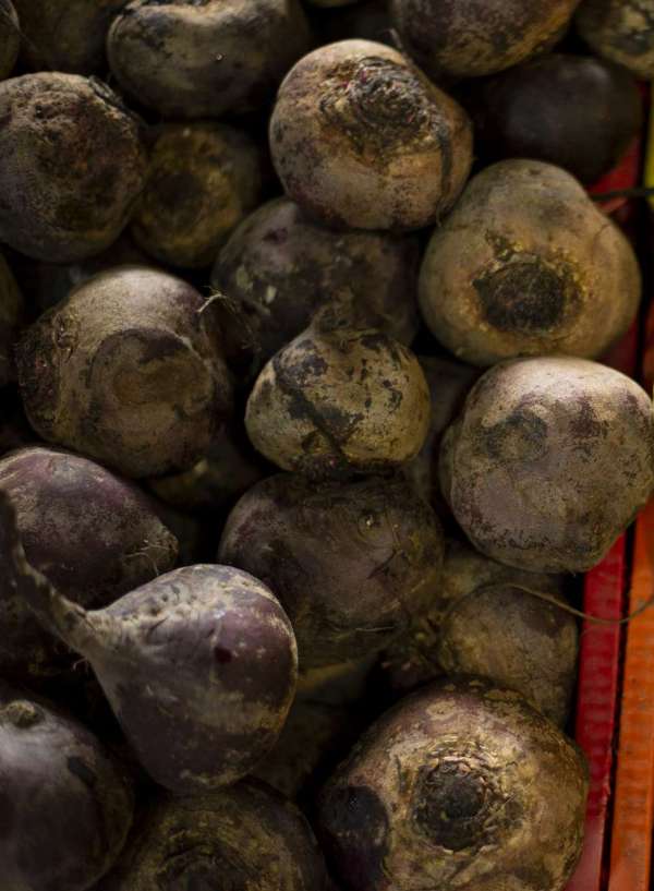 Beterraba registra queda de 30,4% em seu preço na Ceasa Cariri