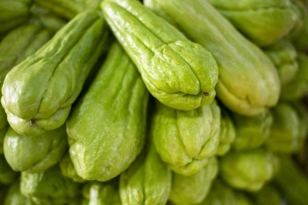 Preço do chuchu cai 50% na Ceasa em Maracanaú