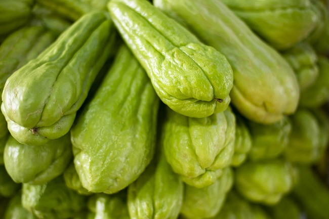 Preço do chuchu cai 50% na Ceasa em Maracanaú