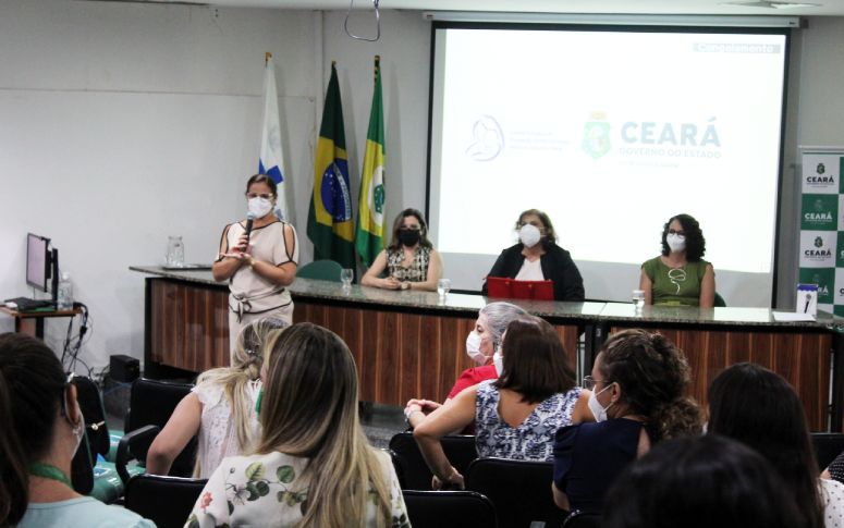 Comitê Estadual de Prevenção da Mortalidade Materna, Infantil e Fetal toma posse em solenidade na Sesa