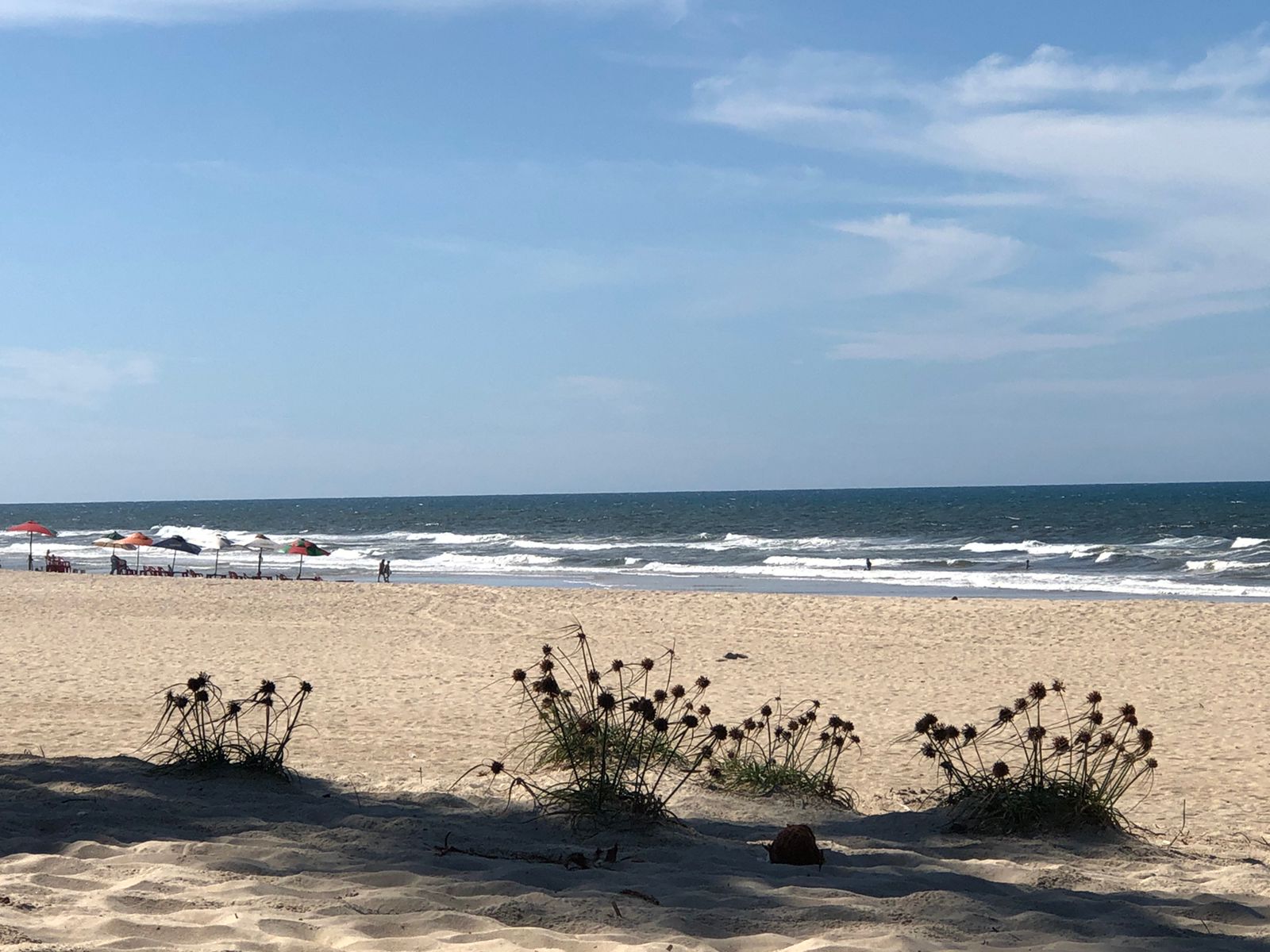 Semace: 21 trechos de praias no litoral fortalezense estão próprios