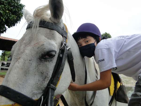 A importância do Centro de Equoterapia da PMCE para a melhoria de vida de crianças com Síndrome de Down