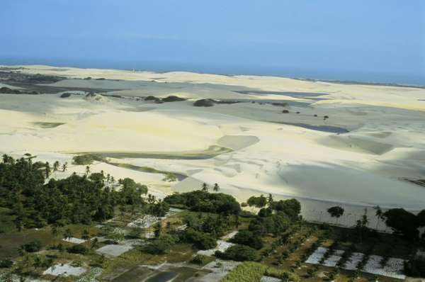 Governo do Ceará entrega Planos de Manejo para quatro Unidades de Conservação Estaduais