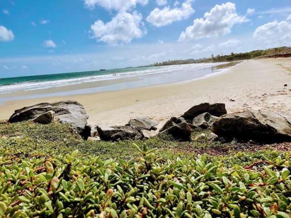 Com período chuvoso, balneabilidade da orla fortalezense continua com nove trechos próprios para banho