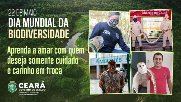 Dia Internacional da Biodiversidade: Conheça ações especializadas em defesa do meio ambiente do Ceará