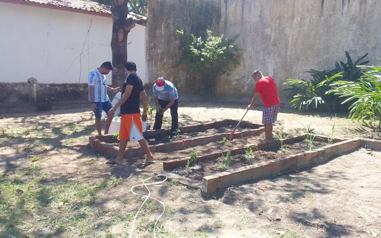 Hospital de Saúde Mental inicia implantação de farmácia viva