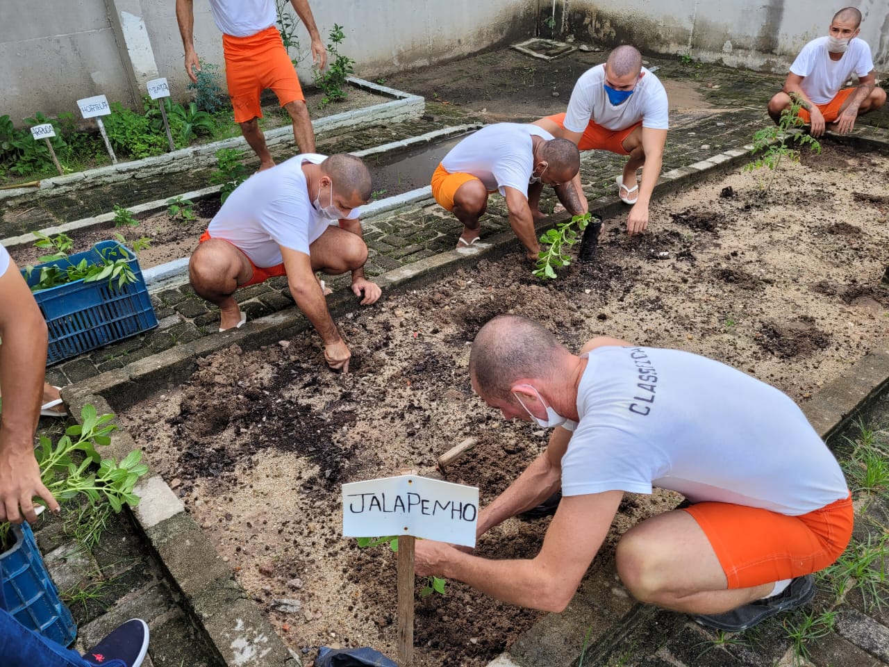 Sema realiza capacitação em “Técnicas de Jardinagem” para internos da Penitenciária Francisco Hélio Viana de Araújo