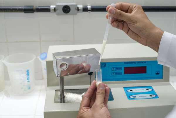 Instituto Centec lança novo curso técnico focado na pecuária leiteira