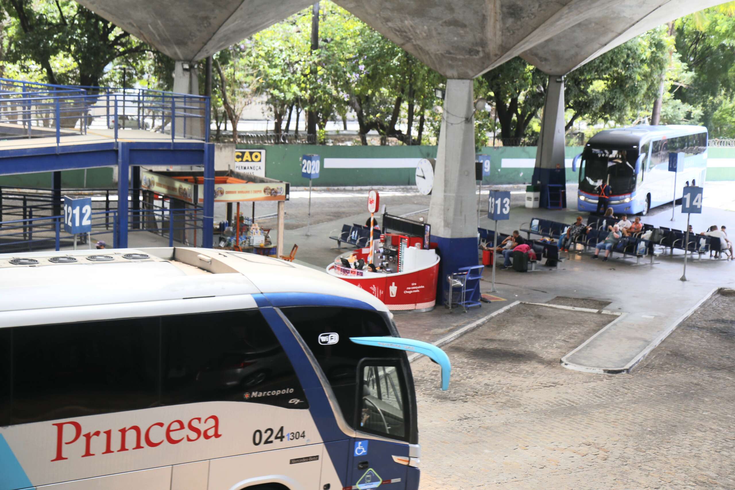 Saiba como vai funcionar gratuidade do transporte público nas eleições; Arce regulamenta lei