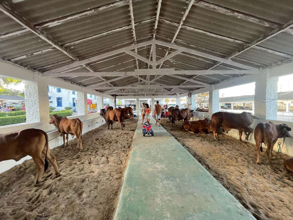 Expoece volta após dois anos com exposição de mais de quatro mil animais e complexo da Agricultura Familiar