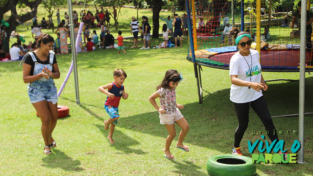 Domingo tem Viva o Parque: arvorismo no Cocó funcionará também no sábado e no feriado