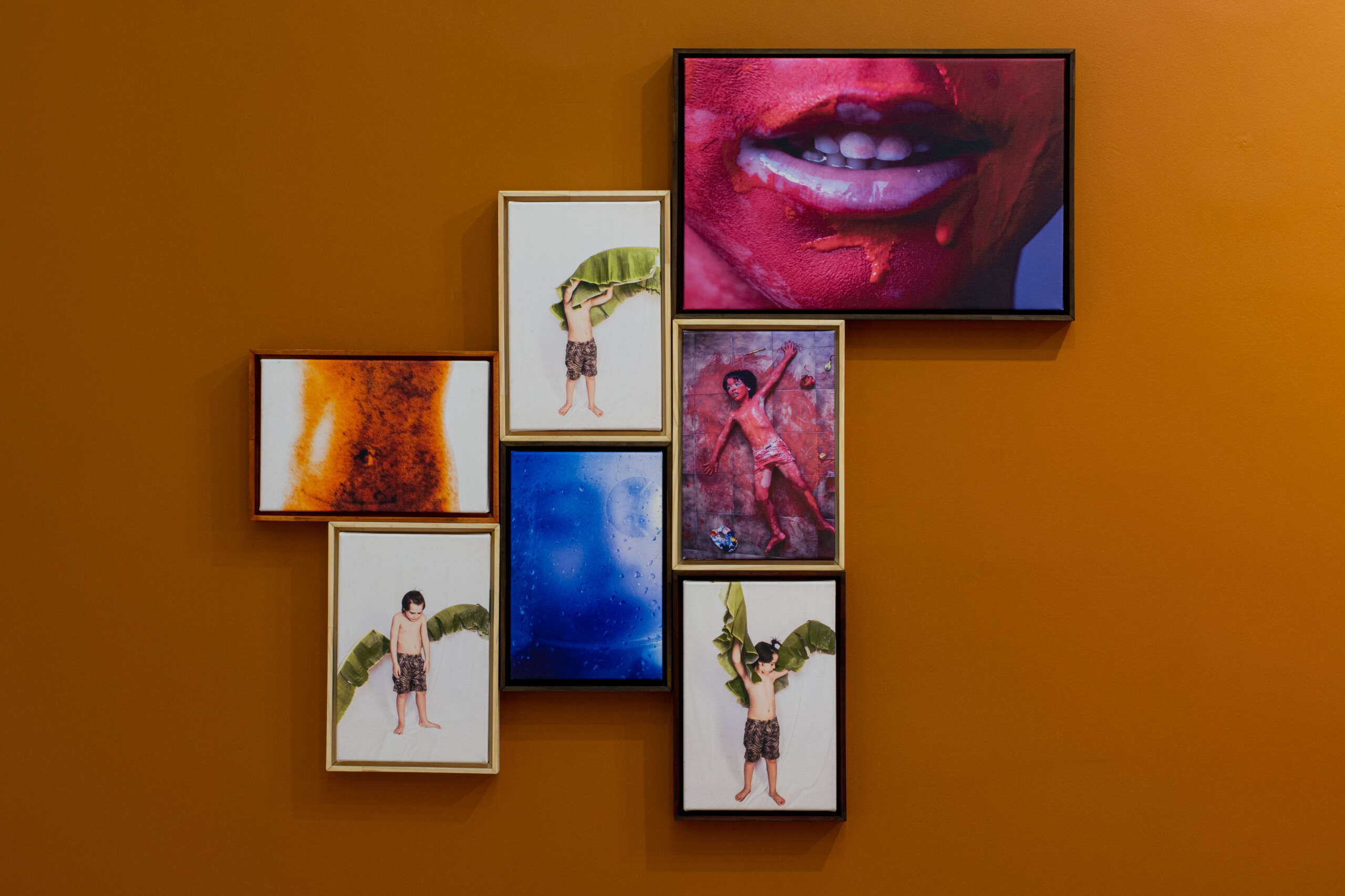 Exposição com mais de 80 artistas cearenses será aberta no Museu de Arte Contemporânea do Ceará nesta quinta (22)