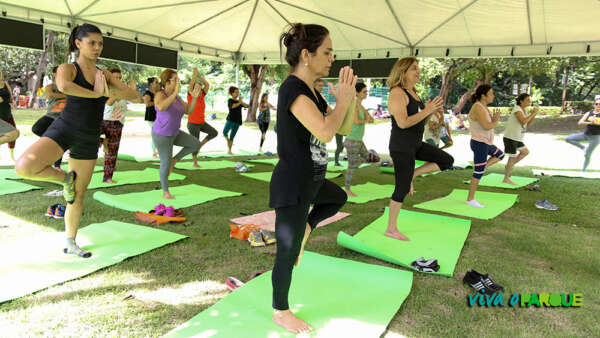 Domingo (18) acontece a última edição do ano do Viva o Parque