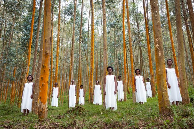 Cinema do Dragão traz premiada estreia a partir desta quinta (12)