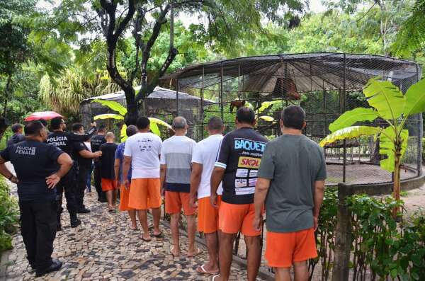 Internos do Instituto Psiquiátrico Governador Stênio Gomes participam de agenda social no Zoológico Sargento Prata