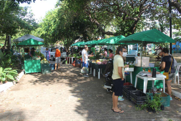 Feira Agroecológica no Parque consolida sucesso e chega à 45ª edição neste sábado