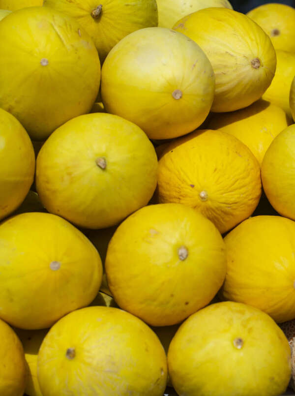 Melão amarelo a R$ 4,00/kg na Ceasa Cariri