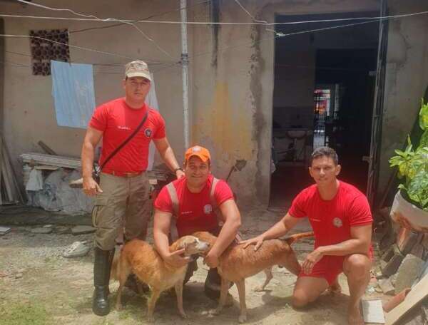 Corpo de Bombeiros resgata dois cães que caíram em um poço na Capital