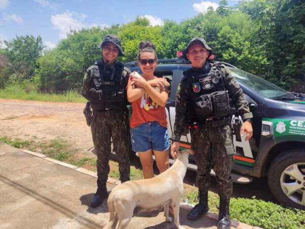 PMCE faz o resgate de cadela e filhotes abandonados em Milagres